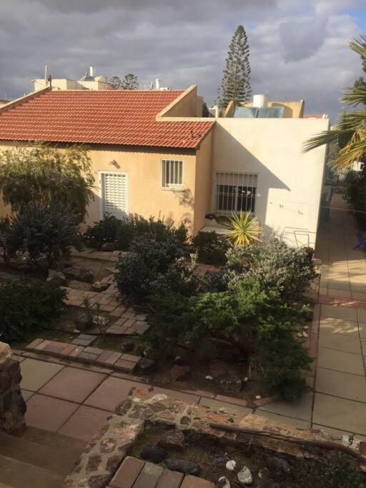 The Little Dorm And Beer Apartment Arad Exterior photo